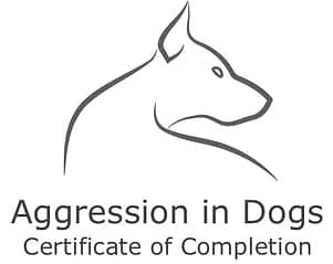 Dog Training Edmonton, Dog Training Certification